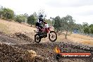 Champions Ride Day MotorX Broadford 16 03 2014 - 0906-CR5_1056