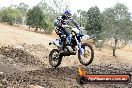 Champions Ride Day MotorX Broadford 16 03 2014 - 0911-CR5_1062
