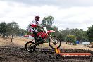 Champions Ride Day MotorX Broadford 16 03 2014 - 1009-CR5_1179