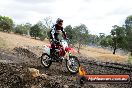 Champions Ride Day MotorX Broadford 16 03 2014 - 1015-CR5_1186