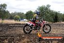 Champions Ride Day MotorX Broadford 16 03 2014 - 1029-CR5_1200