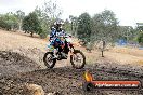 Champions Ride Day MotorX Broadford 16 03 2014 - 1031-CR5_1203