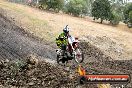 Champions Ride Day MotorX Broadford 16 03 2014 - 1052-CR5_1226