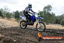 Champions Ride Day MotorX Broadford 16 03 2014 - 1067-CR5_1244