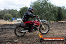 Champions Ride Day MotorX Broadford 16 03 2014 - 1076-CR5_1254