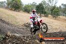Champions Ride Day MotorX Broadford 16 03 2014 - 1079-CR5_1258