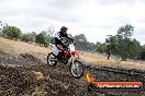 Champions Ride Day MotorX Broadford 16 03 2014 - 1088-CR5_1268