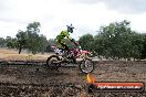 Champions Ride Day MotorX Broadford 16 03 2014 - 1113-CR5_1298