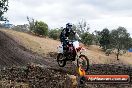 Champions Ride Day MotorX Broadford 16 03 2014 - 1116-CR5_1301