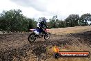 Champions Ride Day MotorX Broadford 16 03 2014 - 1120-CR5_1306