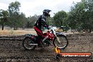 Champions Ride Day MotorX Broadford 16 03 2014 - 1134-CR5_1323