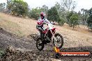 Champions Ride Day MotorX Broadford 16 03 2014 - 1137-CR5_1326