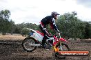 Champions Ride Day MotorX Broadford 16 03 2014 - 1149-CR5_1342