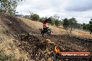 Champions Ride Day MotorX Broadford 16 03 2014 - 1221-CR5_1425
