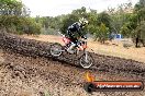 Champions Ride Day MotorX Broadford 16 03 2014 - 1331-CR5_1557