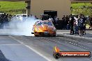 Jamboree Sydney 2014 Part 2 of 2 - 2012-20140315-JC-SD-2465