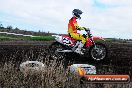 Champions Ride Day MotorX Wonthaggi 1 of 2 parts 06 04 2014 - CR6_3960