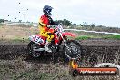 Champions Ride Day MotorX Wonthaggi 1 of 2 parts 06 04 2014 - CR6_4037