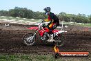 Champions Ride Day MotorX Wonthaggi 1 of 2 parts 06 04 2014 - CR6_5367