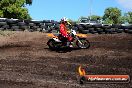 Champions Ride Day MotorX Wonthaggi 2 of 2 parts 06 04 2014 - CR6_6293