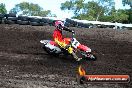 Champions Ride Day MotorX Wonthaggi 2 of 2 parts 06 04 2014 - CR6_6705