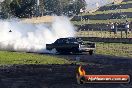 Part 1 of 2 Good Fryday Burnouts 2014 Sydney Dragway - 20140418-JC-GoodFryday-2417