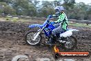 Champions Ride Day MotorX Broadford 31 05 2014 - CR9_3179