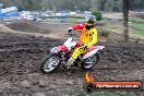 Champions Ride Day MotorX Broadford 31 05 2014 - CR9_3197