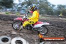 Champions Ride Day MotorX Broadford 31 05 2014 - CR9_3200