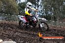 Champions Ride Day MotorX Broadford 31 05 2014 - CR9_3323