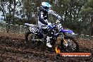 Champions Ride Day MotorX Broadford 31 05 2014 - CR9_3332