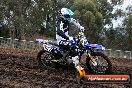 Champions Ride Day MotorX Broadford 31 05 2014 - CR9_3333