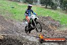 Champions Ride Day MotorX Broadford 31 05 2014 - CR9_3727