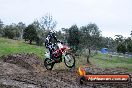 Champions Ride Day MotorX Broadford 31 05 2014 - CR9_3749