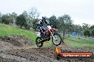 Champions Ride Day MotorX Broadford 31 05 2014 - CR9_3782