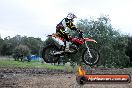 Champions Ride Day MotorX Broadford 31 05 2014 - CR9_3804