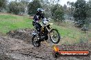 Champions Ride Day MotorX Broadford 31 05 2014 - CR9_3814