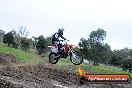 Champions Ride Day MotorX Broadford 31 05 2014 - CR9_3825