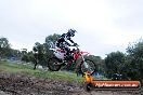 Champions Ride Day MotorX Broadford 31 05 2014 - CR9_3826