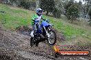 Champions Ride Day MotorX Broadford 31 05 2014 - CR9_3832
