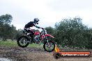 Champions Ride Day MotorX Broadford 31 05 2014 - CR9_3846