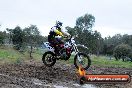 Champions Ride Day MotorX Broadford 31 05 2014 - CR9_3850