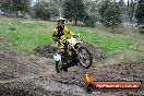 Champions Ride Day MotorX Broadford 31 05 2014 - CR9_3882