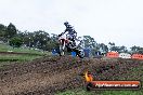 Champions Ride Day MotorX Broadford 31 05 2014 - CR9_3902