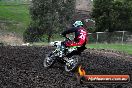 Champions Ride Day MotorX Broadford 31 05 2014 - CR9_3978