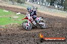 Champions Ride Day MotorX Broadford 31 05 2014 - CR9_4205