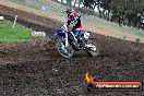 Champions Ride Day MotorX Broadford 31 05 2014 - CR9_4295