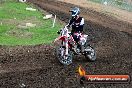 Champions Ride Day MotorX Broadford 31 05 2014 - CR9_4301