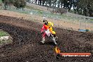 Champions Ride Day MotorX Broadford 31 05 2014 - CR9_4387
