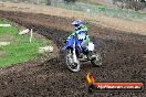Champions Ride Day MotorX Broadford 31 05 2014 - CR9_4422